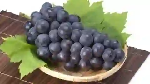 Black grapes  of स्किन, हेयर और हेल्थ के 'मैजिक टॉनिक' है काले अंगूर, इतने जबरदस्त फायदे सुनकर जरूर खाना चाहेंगे आप!